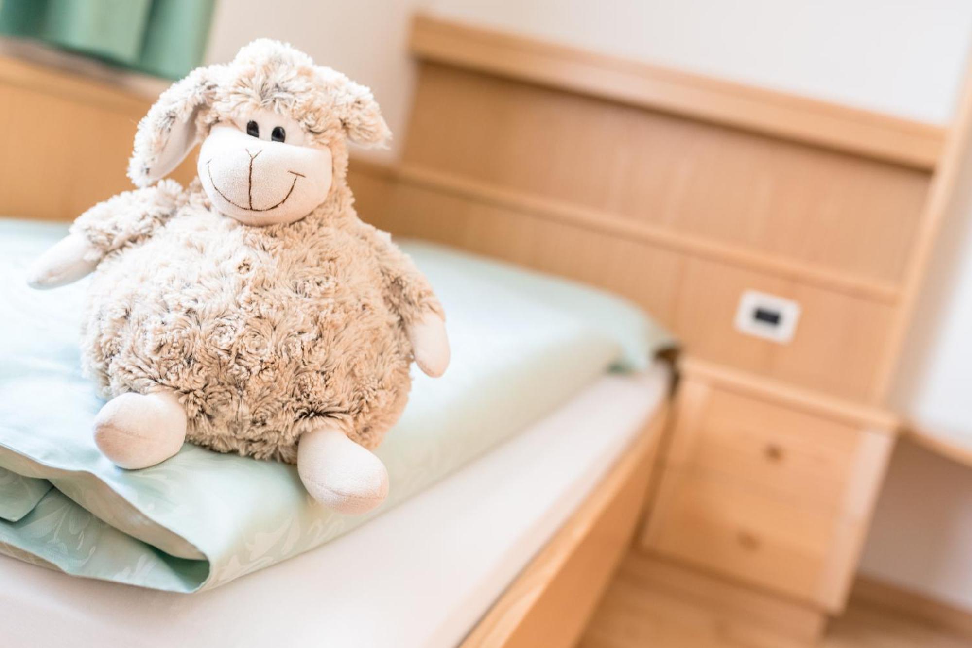 Ciasa Mascotte Apartment San Vigilio Di Marebbe Ngoại thất bức ảnh